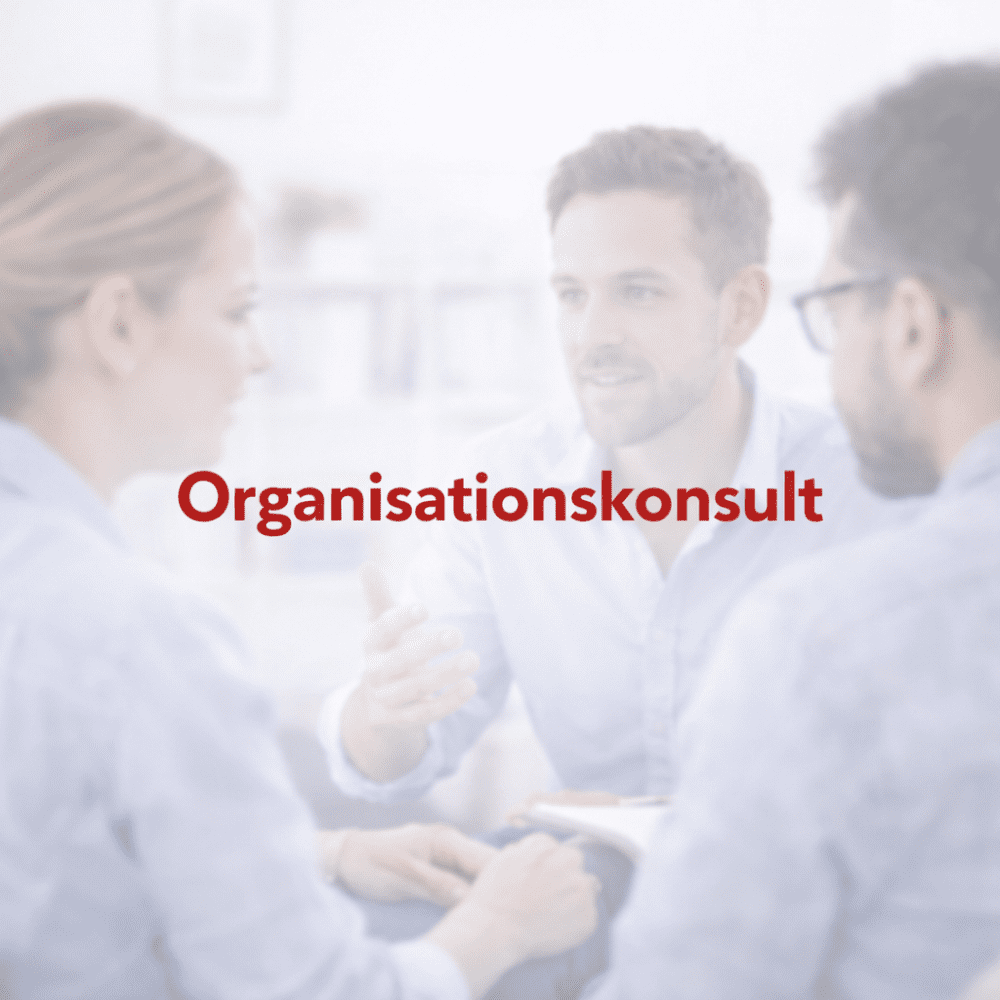 Organisationskonsult