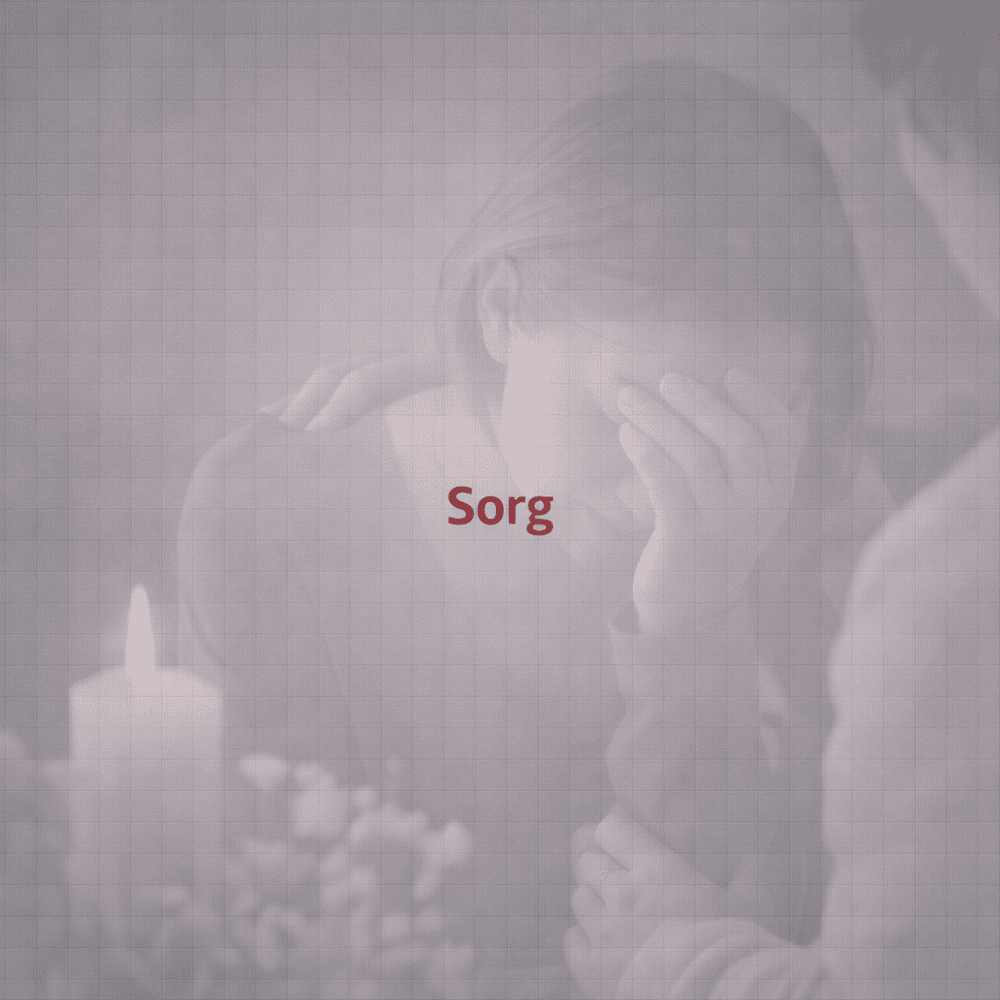 Sorg