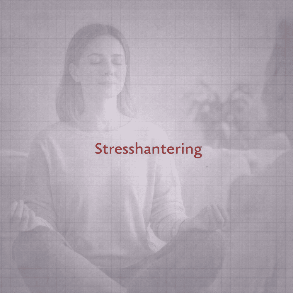 Stresshantering